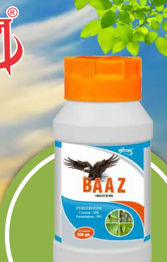 Baaz pack